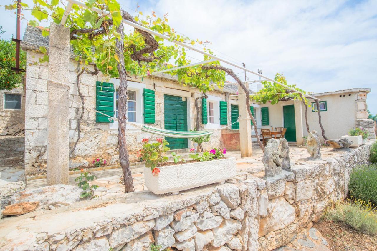 Dalmatian Stone House Villa โรกอซนิซา ภายนอก รูปภาพ